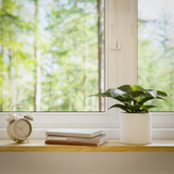 arre Contact Sensor with Matter Support